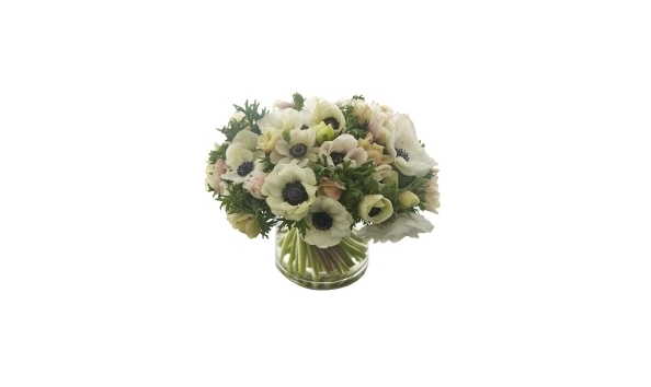 Big image white anemone 220x190