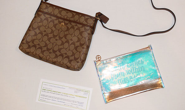 Big image coach purse a