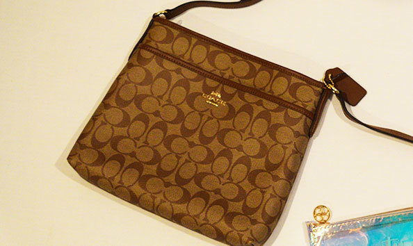 Big image coach purse b