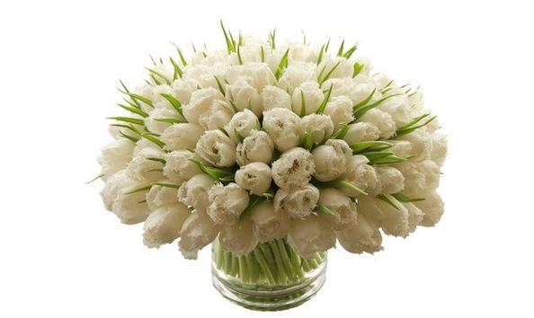 Big image white fringe tulips