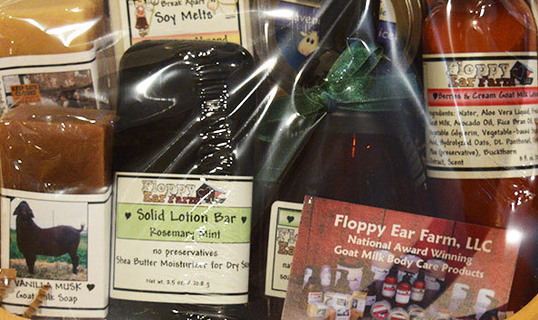 Big image floppy ear b