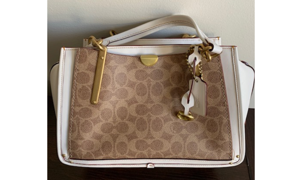 Big image coach dreamer