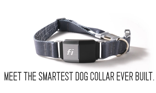 Big image collar
