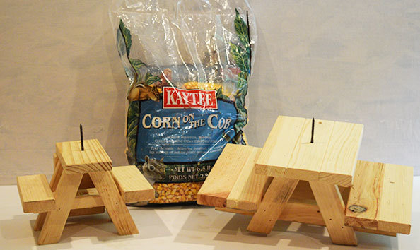 Big image squirrel a