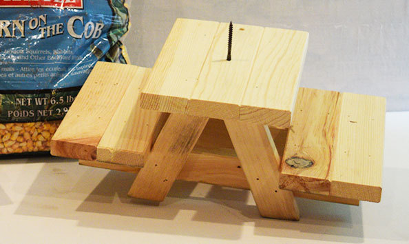 Big image squirrel b