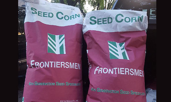 Big image corn seed a