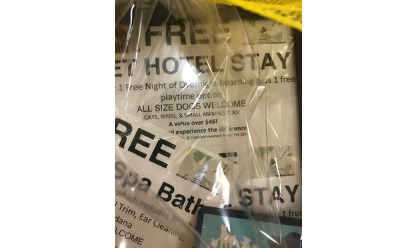 Big image preppy pet4