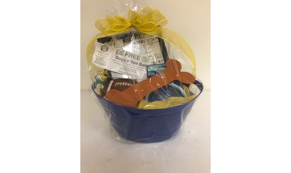 Big image preppy pet1