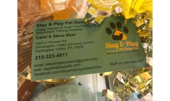 Big image stay and play3