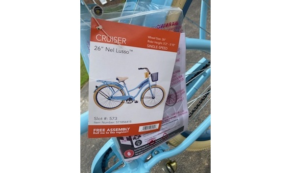 Big image beach cruiser6