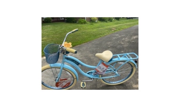 Big image beach cruiser5