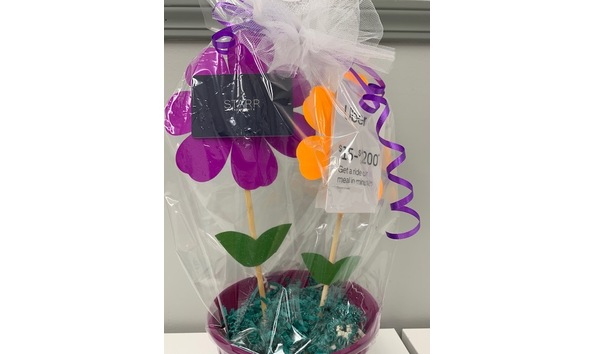 Big image steven starr1