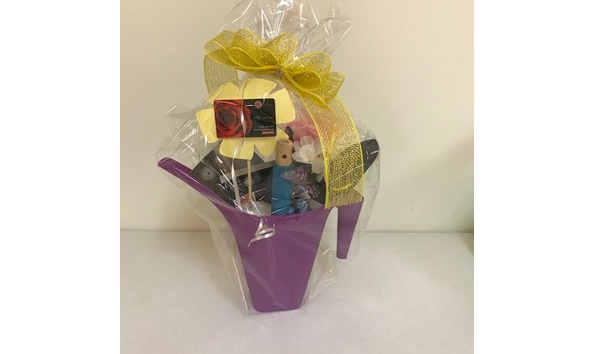 Big image domenic graziano1