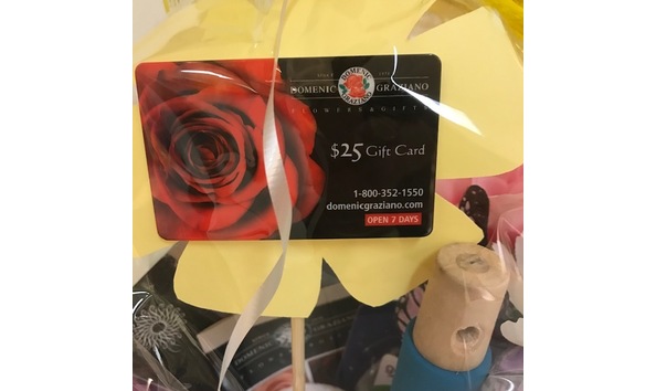 Big image domenic graziano2