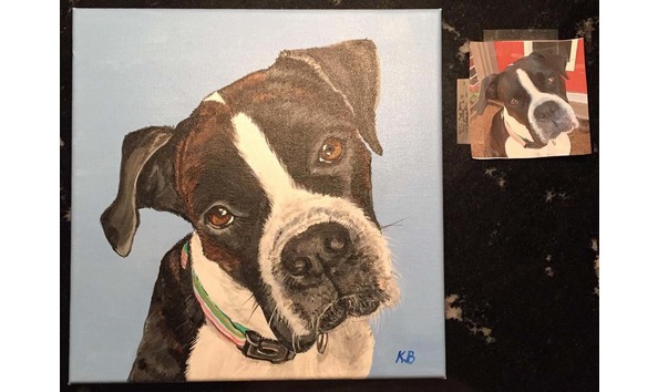 Big image petportrait