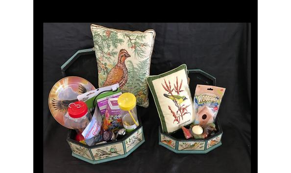 Big image complete bird