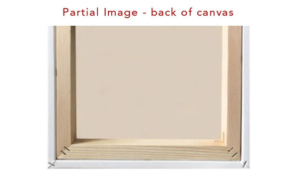 Big image pet painting back of frame