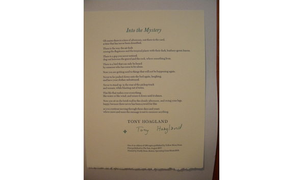 Big image into the mystery