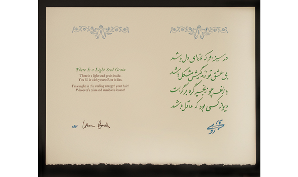 Big image light seed grain