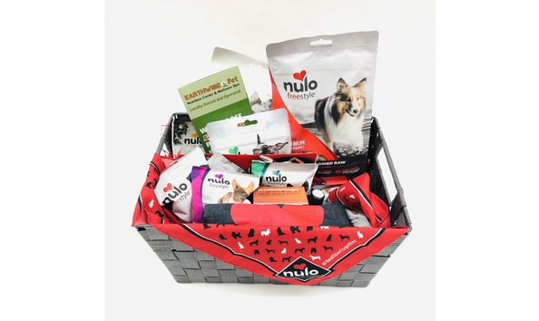 Big image 20200727 212700534 ios