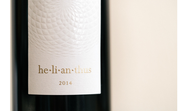 Big image 14sf close up