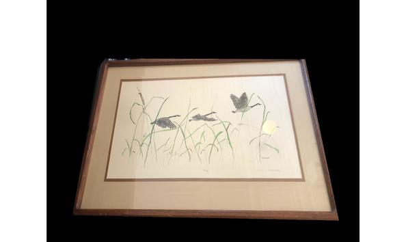 Big image ducks flying