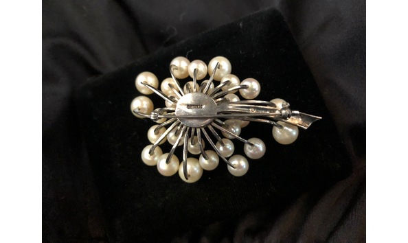 Big image back pearl pin