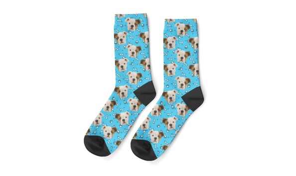 Big image 116133598 304704640729278 4397174333876419156 n