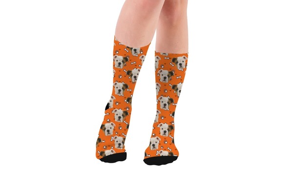 Big image 116796134 575399843143773 2272411115424225340 n