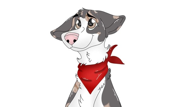 Big image 116426955 320120972508068 7624247604361933476 n