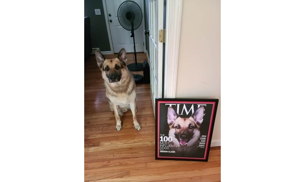 Big image 116796959 3455480487809403 6850908650493078277 n