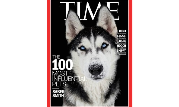 Big image 116475741 2707024789582852 382822487232461290 n