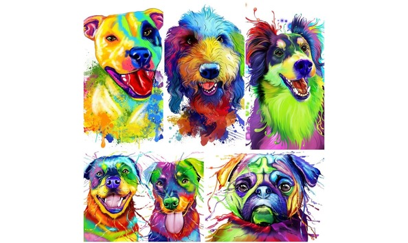 Big image 116431770 1173980502968242 3831398429820726717 n