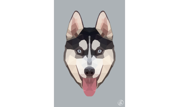 Big image 105928453 640552656538592 6671465232738084629 n