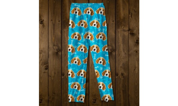 Big image 116254126 1373036616235533 2942048670863632238 n