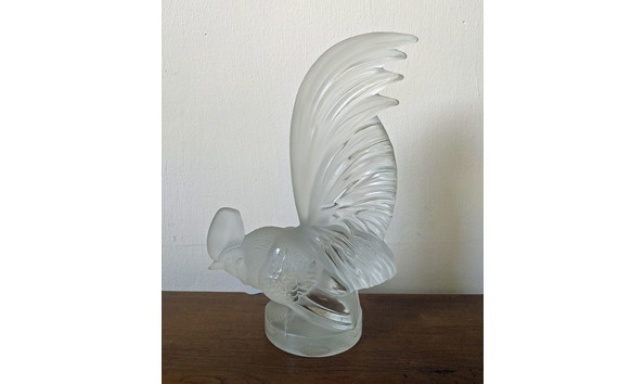 Big image img 20200806 105648