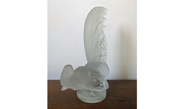 Big image img 20200806 105652