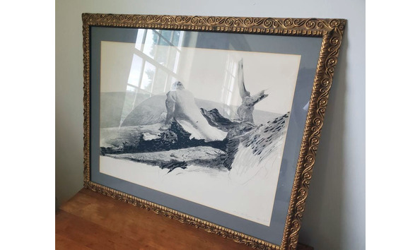 Big image img 20200806 132051