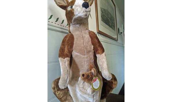 Big image img 20200806 144833