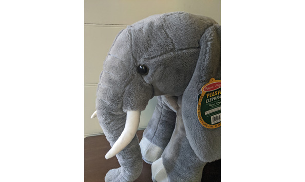 Big image img 20200806 144935