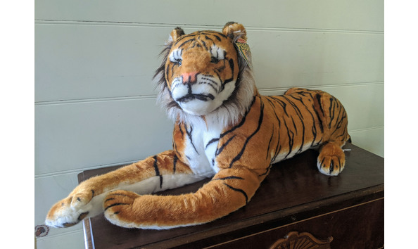 Big image img 20200806 144723