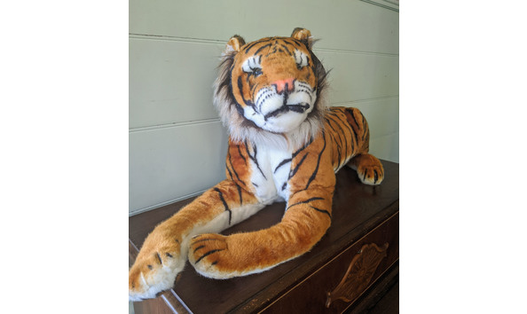 Big image img 20200806 144720