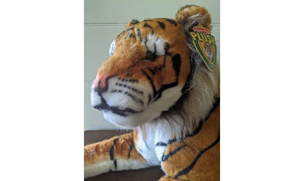 Big image img 20200806 144727