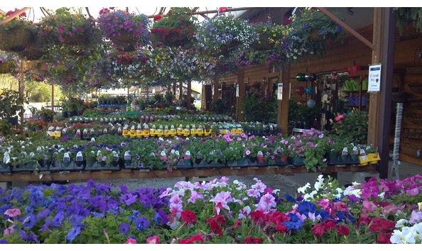 Big image 1658581 542384335876489 1585114780 o