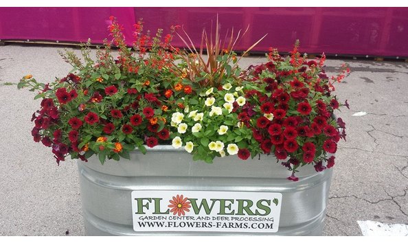 Big image flowers farms garden center2