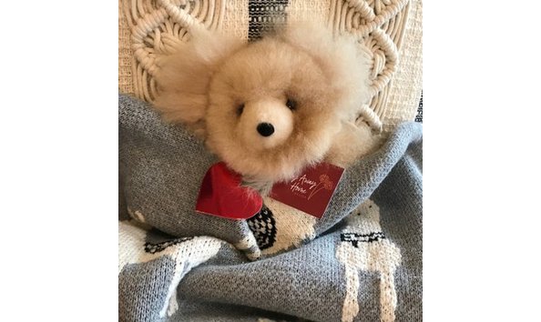 Big image fly away home 2