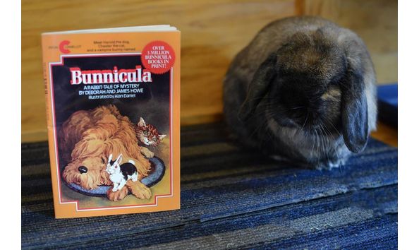 Big image 53639395 1978719742436829 8896624832079200256 o