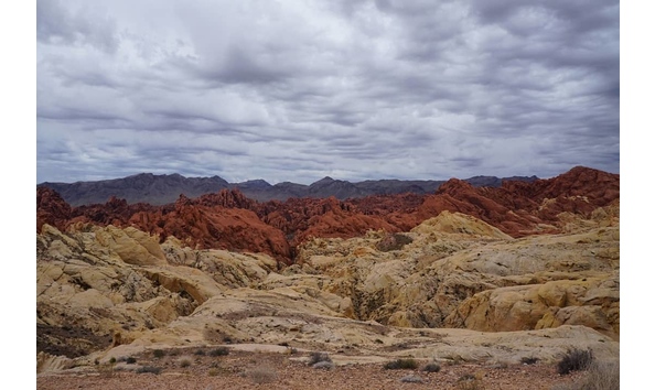 Big image img 20191223 202316 286 xl