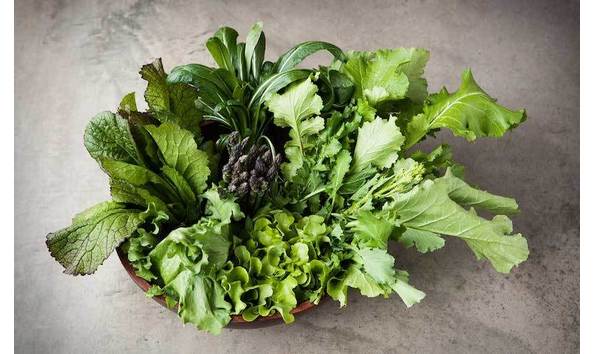 Big image greens torkilstavdal pfl