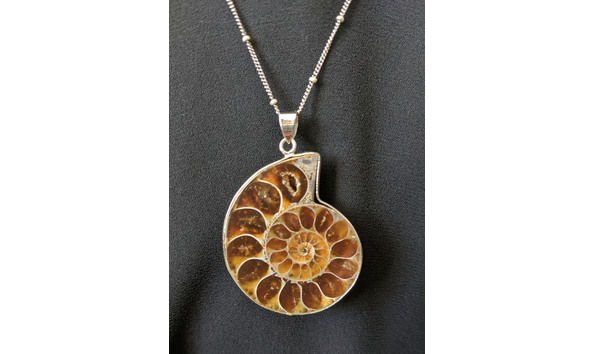 Big image img 20200818 154202